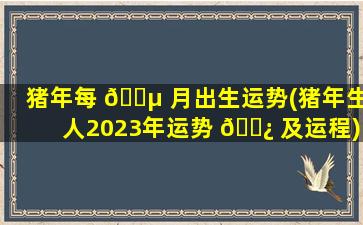 猪年每 🌵 月出生运势(猪年生人2023年运势 🌿 及运程)